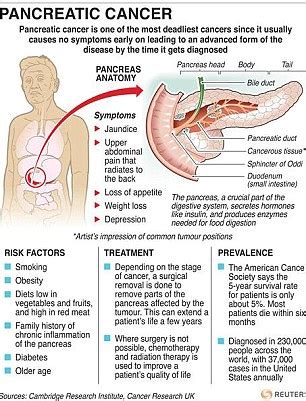 Pancreatic cancer may cause only vague unexplained symptoms. Steve Jobs cause of death: Apple boss's pancreatic cancer ...