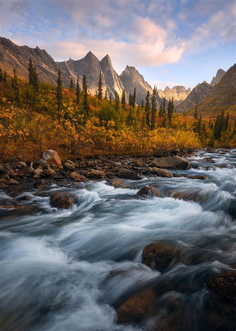 A Perfect Fall Scene In The High Arctic Of Alaska The Rushing Creek