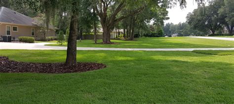 This list will help you pick the right pro lawn service in gainesville, fl. Lawn Maintenance in Gainesville, FL