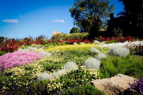 שם מקומי wollongong botanic garden. The Australian Botanic Garden (Mount Annan) - 2020 All You ...
