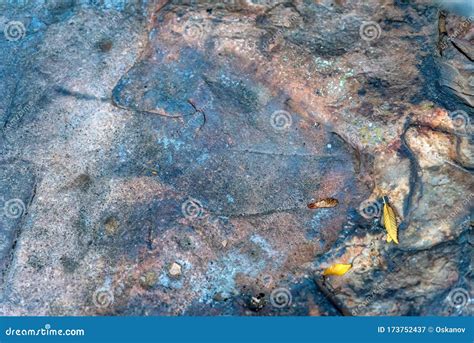 Petroglyphs Of The Bronze Age Of Yamnaya Culture Stock Image Image Of