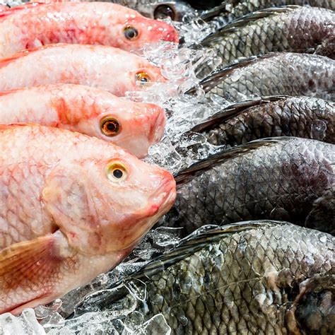 Heres How To Tell If Fish Is Fresh