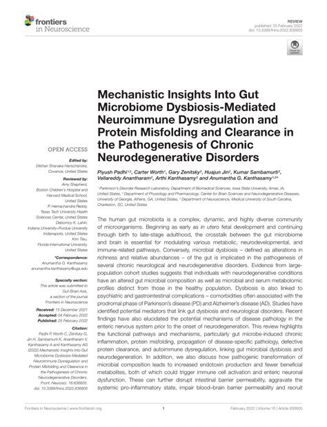 Pdf Mechanistic Insights Into Gut Microbiome Dysbiosis Mediated