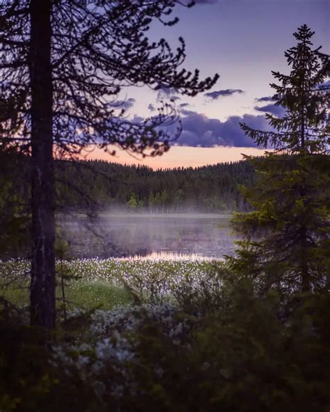 10 Best Things To Do In Swedish Lapland Summer And Winter