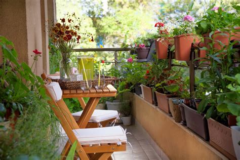Best Plants For Balcony Cheapest Sale Save 59 Jlcatjgobmx