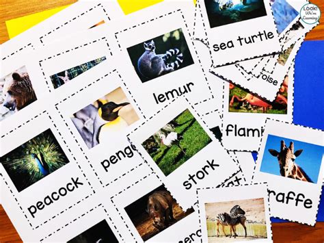 Zoo Friends! Printable Zoo Animal Flashcards - Look! We're Learning!