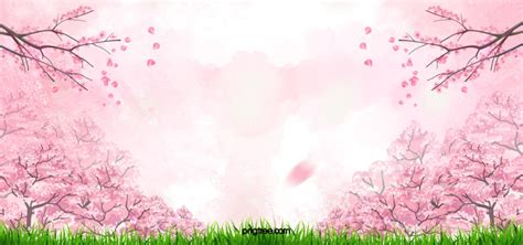 Cherry Blossom Pink Background Wallpaper Cherry Blossoms Background