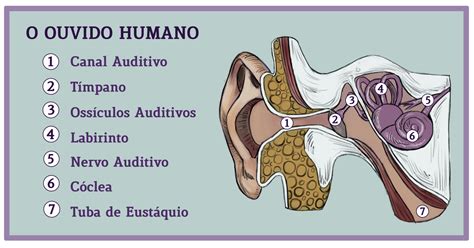 Sobre Os Parâmetros Sonoros é Correto Afirmar Que