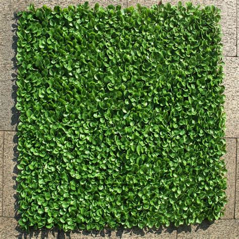 A really tough plant and. Artificial Box Hedging Panels For Sale Online in Ireland ...