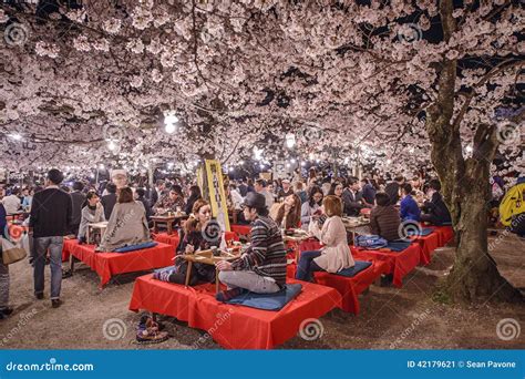 About Cherry Blossom Festival Japan