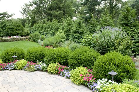 When to plant a fall garden in oklahoma. Planting in the Fall for the Perfect Spring Garden