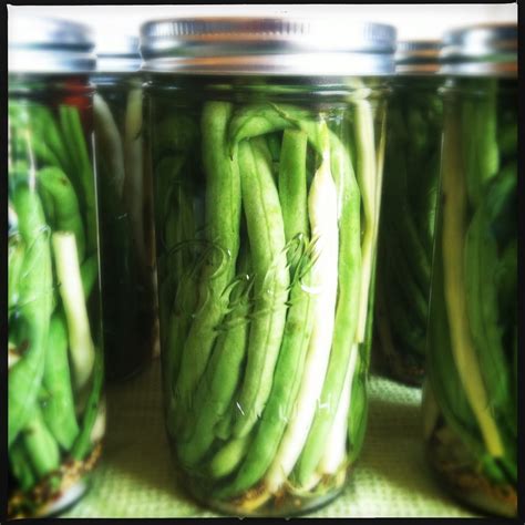 See how pretty they are? CanCan: Spicy Pickled Green Beans