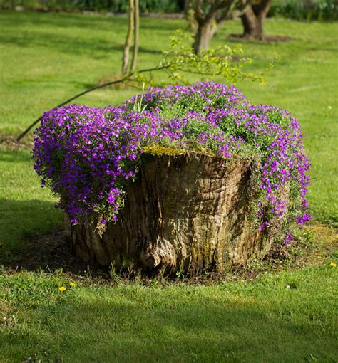 14 Interesting Ideas How To Decorate Your Garden With Tree Stumps