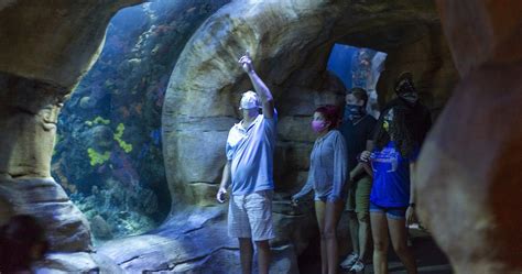 College Days · Tennessee Aquarium