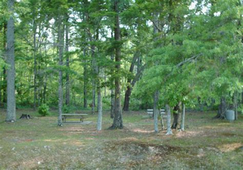 The corps of engineers maintains one full service campground; Mississippi Entomological Museum, Ants (Formicidae) of the ...