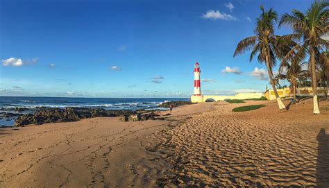 Photos Brazil Salvador Bahia Beach Nature Lighthouses Sky Palms