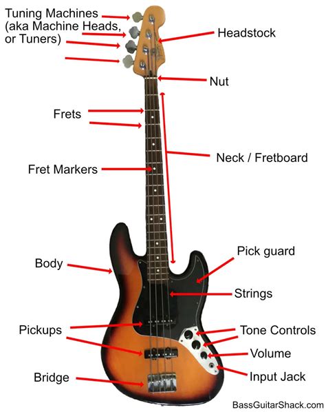 Bass Guitar Anatomy Parts Of A Bass Guitar Bass Guitar Shack