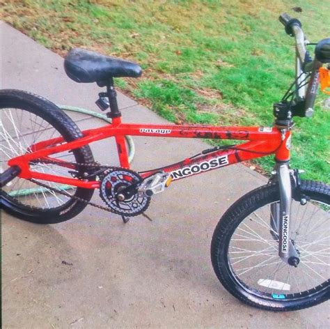 2011 Mongoose Ravage