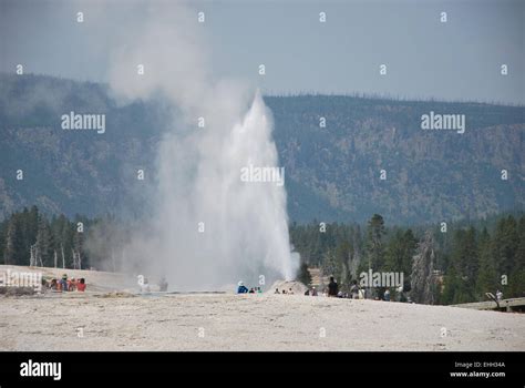 Geysers Of Yellowstone Stock Photo Alamy