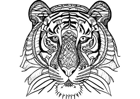 Tiger Zentangle Graphic Creative Fabrica