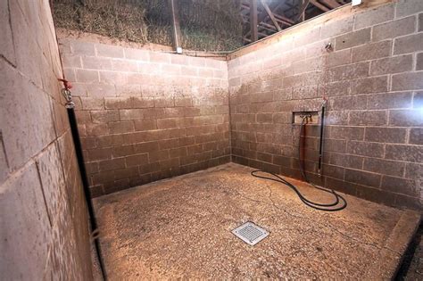 Get yourself a shower caddy. horse shower stall | Tower Hill Stables--141 acre, 131 ...