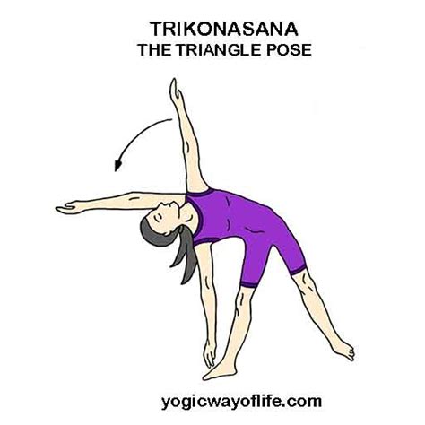 Trikonasana The Triangle Pose