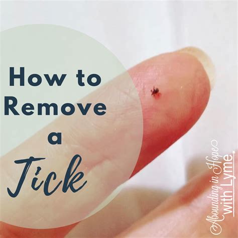 How to Remove a Tick • Abounding in Hope with Lyme
