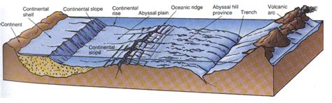 Relief Dasar Laut Morfologi Dasar Laut Jenis Dan Pengertian Oceanid