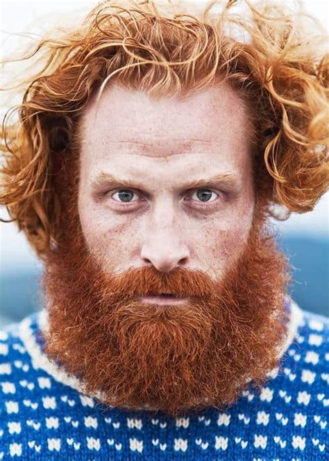15 Ways To Style Brown Hair With Red Beard Beardstyle