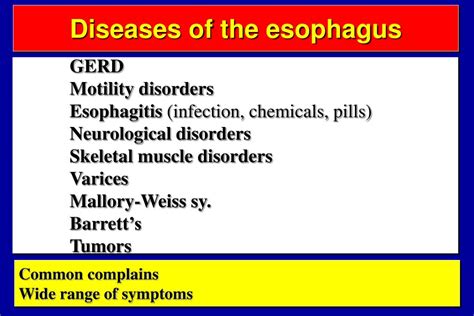 Ppt Diseases Of The Esophagus Powerpoint Presentation Free Download