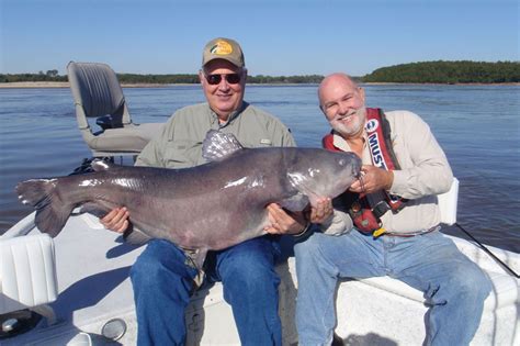 Fried catfish and sides oxford ms. 12 Best States for Monster Catfish - Game & Fish