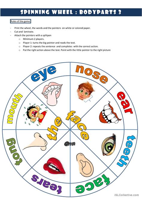 Spinning Wheel Bodyparts The Face English Esl Worksheets Pdf And Doc