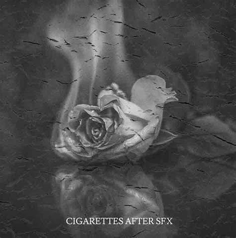cigarettes after sex rose digital art by zula lubowitz fine art america