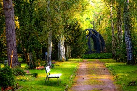 100,000+ Best Natural Photos · 100% Free Download · Pexels ...