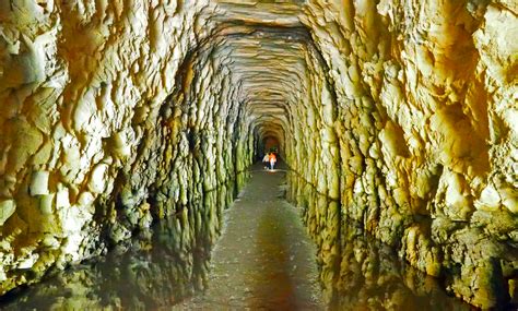 21 Exceptional South Carolina Attractions That Are Nothing Short Of