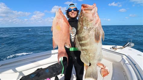 Giant Nassau Grouper And Hogfish Catch Clean Cook Bahamas Spearfishing