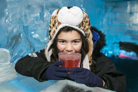 Queenstown Minus 5 Ice Bar Experience With Drink Options Getyourguide