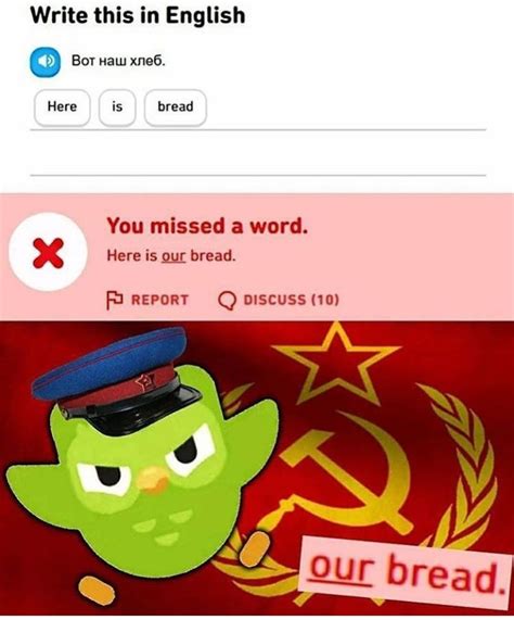 The best gifs for duolingo bird memes. Angry Duolingo noises | Really funny memes, Funny relatable memes, Funny memes