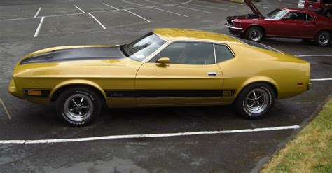 Gold Glow 1973 Mach 1 Ford Mustang Fastback Photo