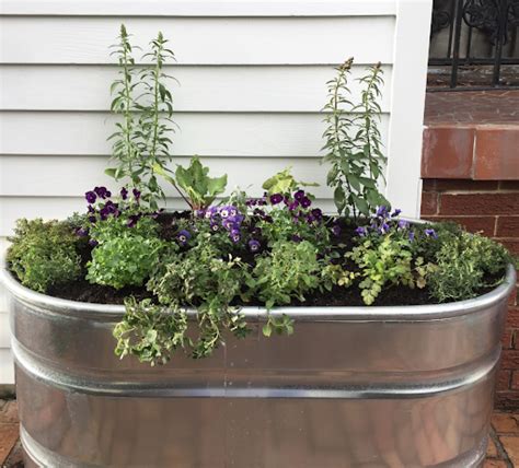 Creative Ways To Use Cattle Troughs In The Garden Gardenary