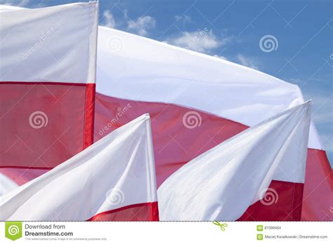 Multiple Polish Flags Flying Against The Sky Stock Photo Image Of