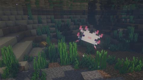 Minecraft Axolotl Guide How To Find Breed And Tame Pcgamesn