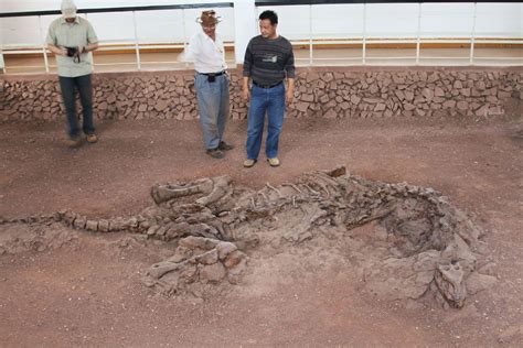 Aprender Acerca Imagen Define A Fossil Ecover Mx