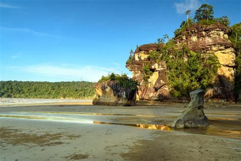 Cliff With Tree On Tropical Beach At Low Tide Stock Photo Image Of
