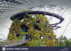 Image result for gardens by the bay, singapore