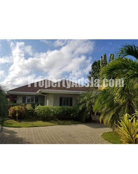 House For Rent In Priory St Ann Jamaica