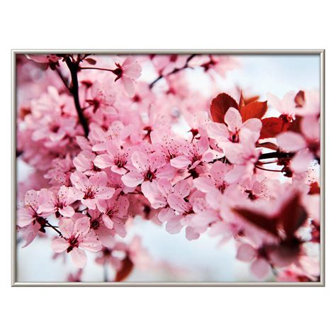 Japanese Cherry Blossom Wall Art Wall Art At Hayneedle