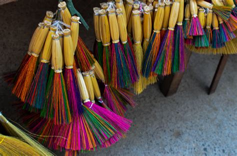 Wallis Filipino Broom Sekafacts