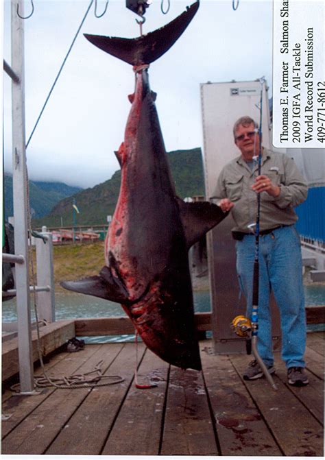 Biggest Fish In The World Caught On Rod And Reel - Unique Fish Photo