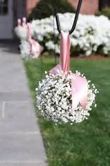 Pictures of Baby''s Breath Flower Ball